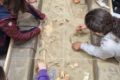 Enfants en cours de fouilles sur une tombe gallo-romaine factice