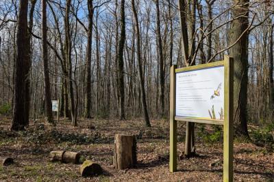 Agrandir l'image 2 sur 3, fenêtre modale