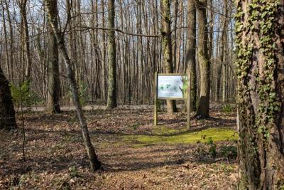 Agrandir l'image 3 sur 3, fenêtre modale