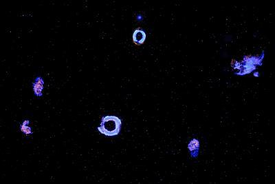 Agrandir l'image 2 sur 3, fenêtre modale