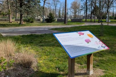 Agrandir l'image, fenêtre modale