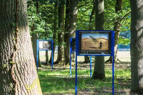 Agrandir l'image, fenêtre modale